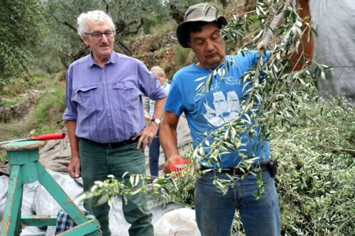 Christos im Element