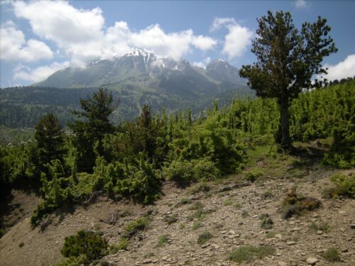 Berati: Blick auf den Tomorri-Berg
