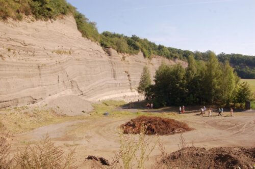 Vulkantuff vom Laacher See-Ausbruch an der Wingertsbergwand