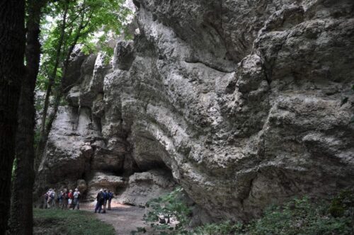 Fränkische Schweiz, Kalkformation