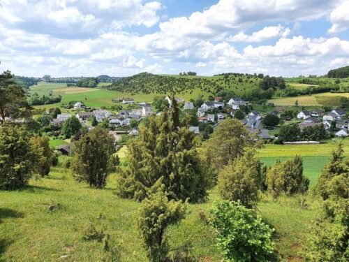 Wacholderheidenlandschaft um Alendorf