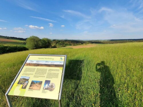 Eifelpanoramablick Büchelsberg